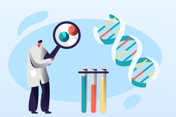 ADC Revolution 2024: Breakthroughs in Targeted Cancer Therapy from Trop-2 to HER2