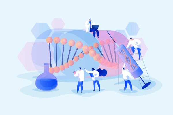 Targeting FGFR in Cancer Therapy: From Biological Mechanisms to Clinical Breakthroughs
